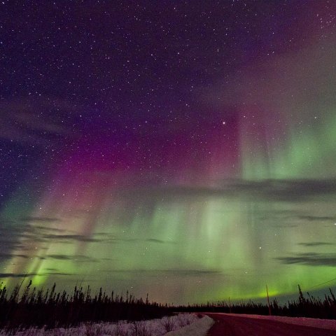 Make For Canada's North to Marvel at the Aurora Borealis